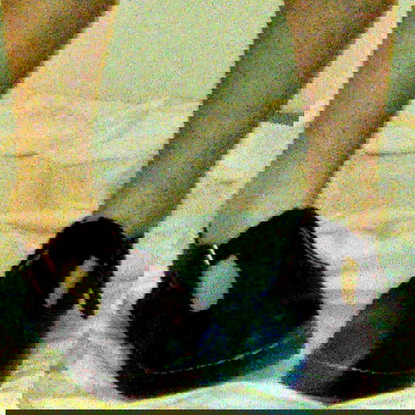 _femalien image ~ Altpins