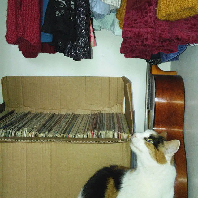 _femalien instagram image archive image