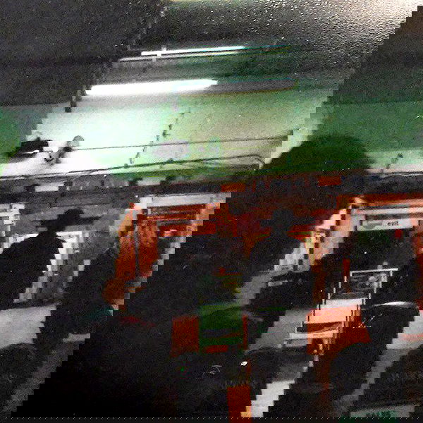 _femalien image ~ Altpins