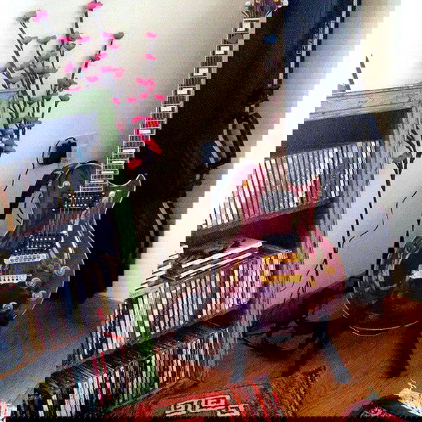 _femalien image ~ Altpins