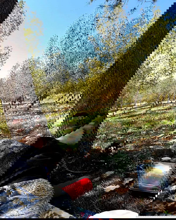 _hilaluu image ~ Altpins