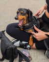 _hkd_x Altpins Profile Picture