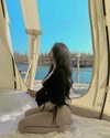 _hkngoc99_ Altpins Profile Picture