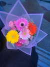 _laleonetti_ Altpins Profile Picture