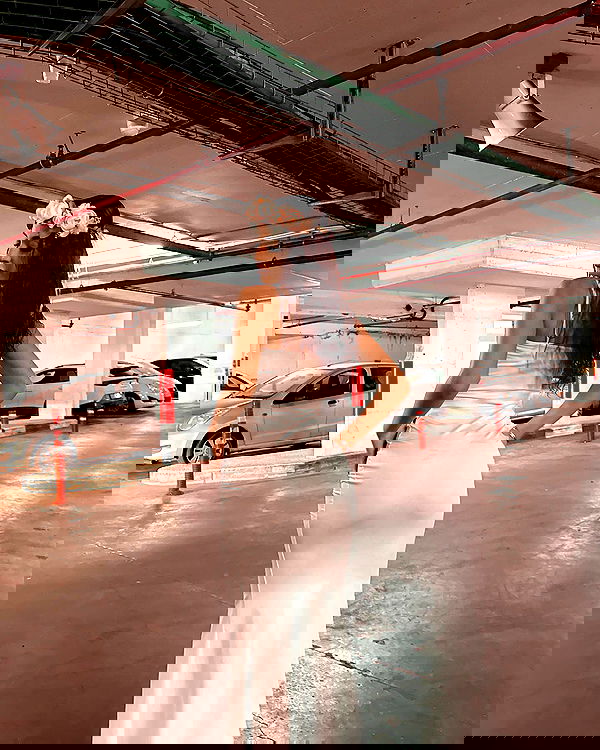 _lil_noa_ _lil_noa_ archive image