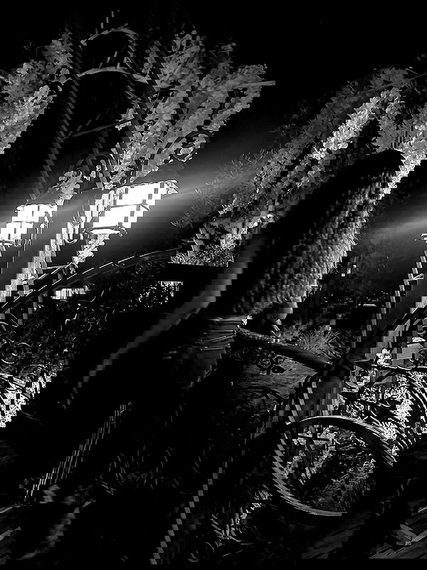 _lil_noa_ _lil_noa_ archive image