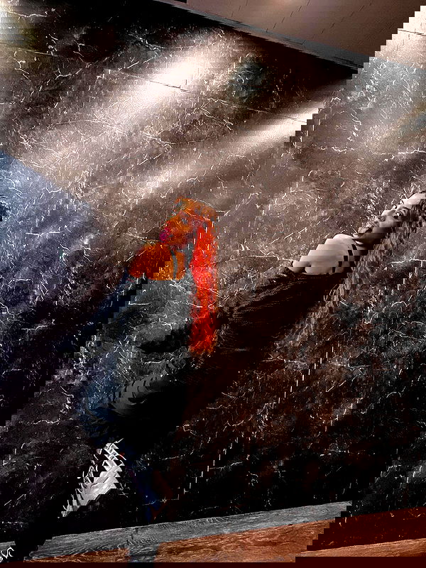 _lil_noa_ _lil_noa_ archive image