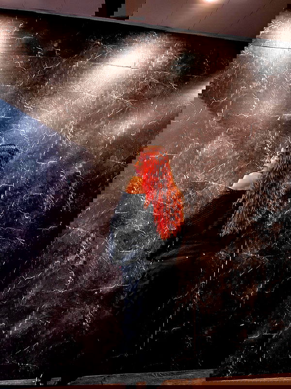 _lil_noa_ _lil_noa_ archive image