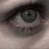 _littlerobin_ Altpins Profile Picture