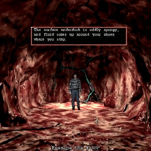 _littlerobin_ instagram image archive image