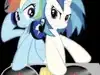 _littlerobin_ Altpins Profile Picture