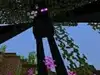 _littlerobin_ Altpins Profile Picture