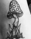 _scarlc_xo Altpins Profile Picture