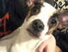 _scarlc_xo Altpins Profile Picture