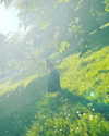 _scarlc_xo Altpins Profile Picture