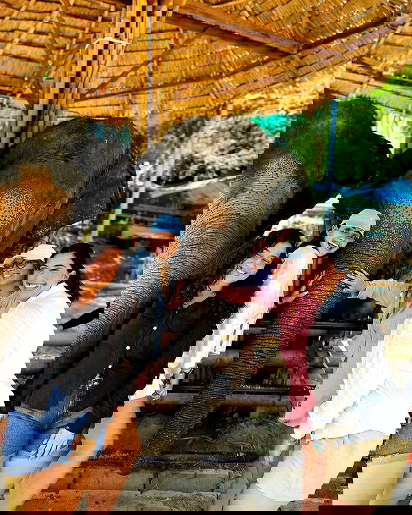 _shirel.dahan_ _shirel.dahan_ archive image