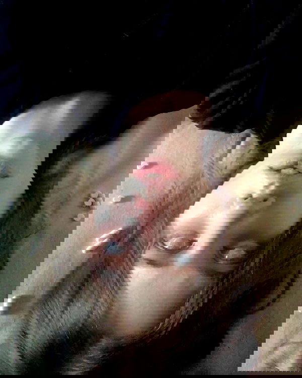 _tero._ image ~ Altpins