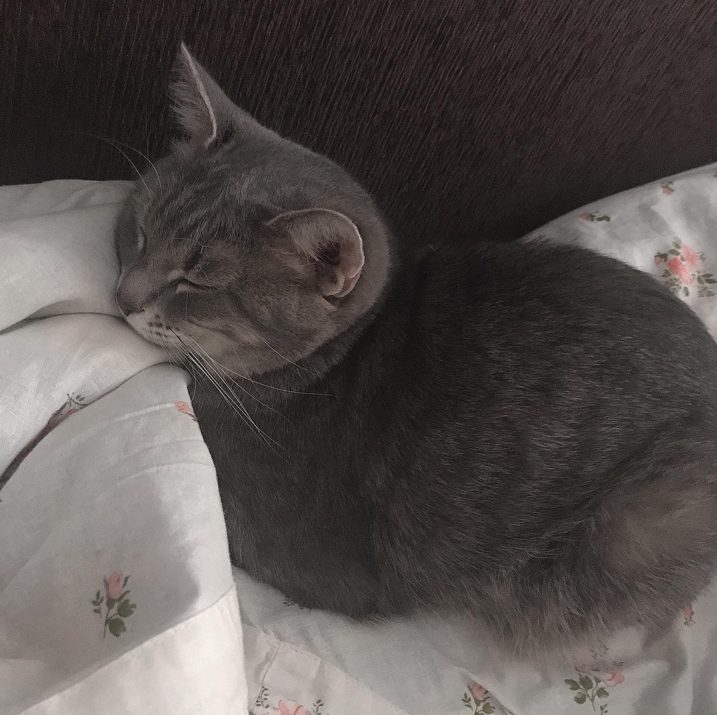 _tero._ instagram image archive image