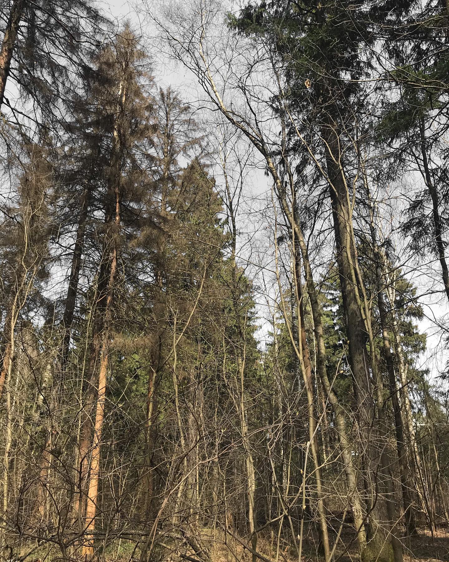 _tero._ instagram image archive image