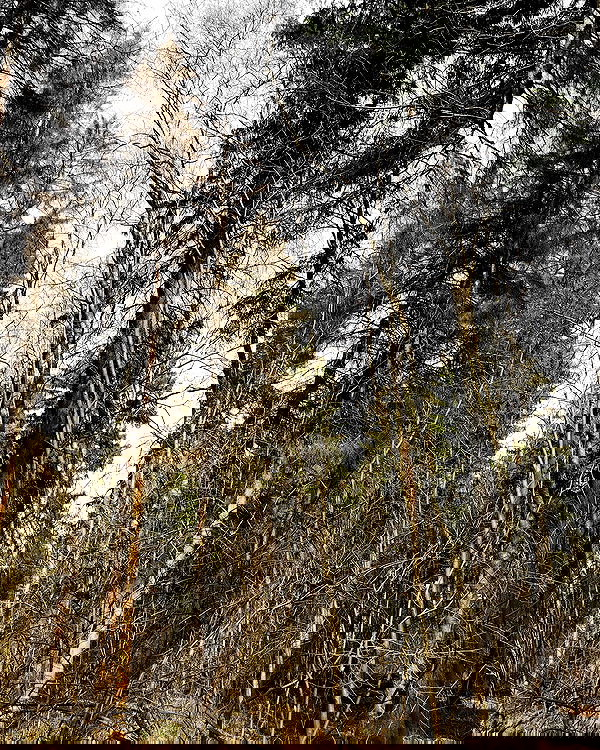 _tero._ image ~ Altpins