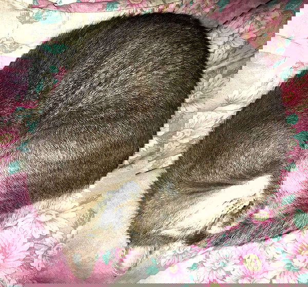 _tero._ image ~ Altpins