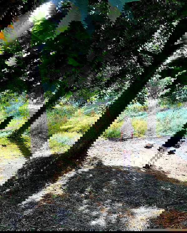 _tero._ image ~ Altpins