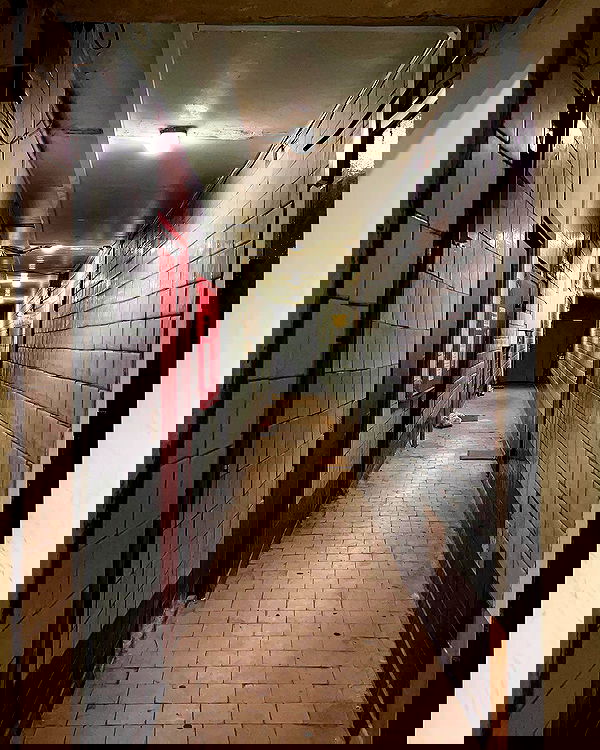 _tero._ image ~ Altpins