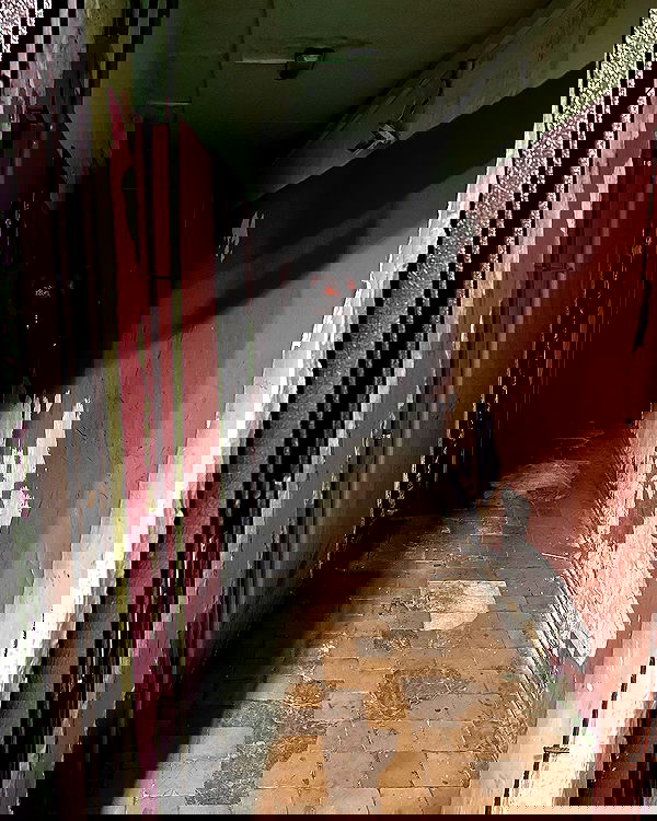 _tero._ image ~ Altpins