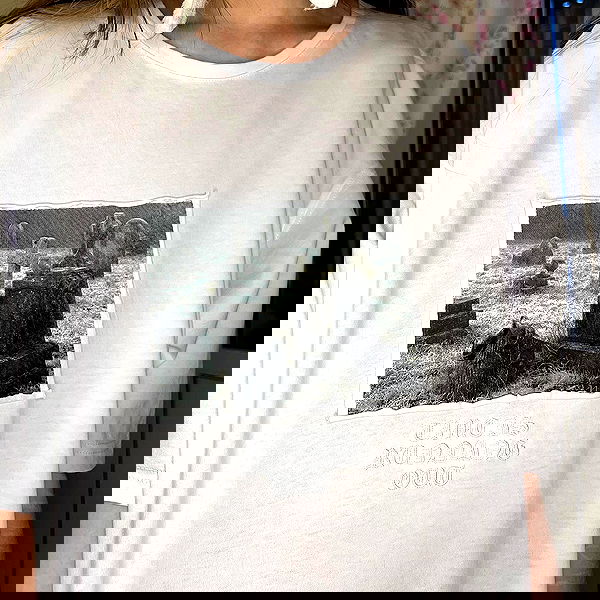 _tero._ image ~ Altpins