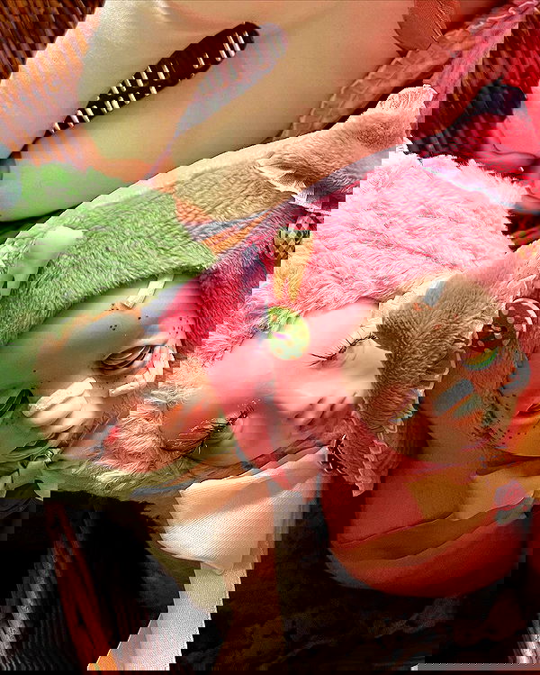 _tero._ image ~ Altpins