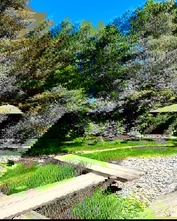 _tero._ image ~ Altpins