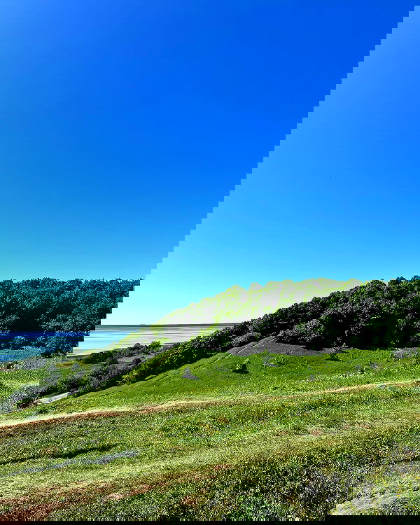 _tero._ image ~ Altpins