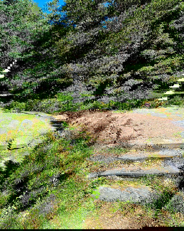 _tero._ image ~ Altpins