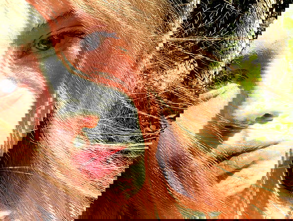 _tero._ image ~ Altpins