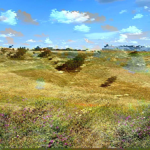 _tero._ image ~ Altpins