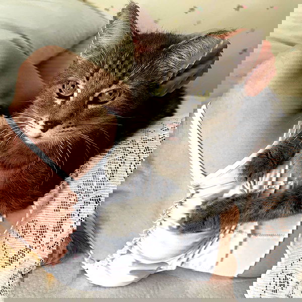 _tero._ image ~ Altpins