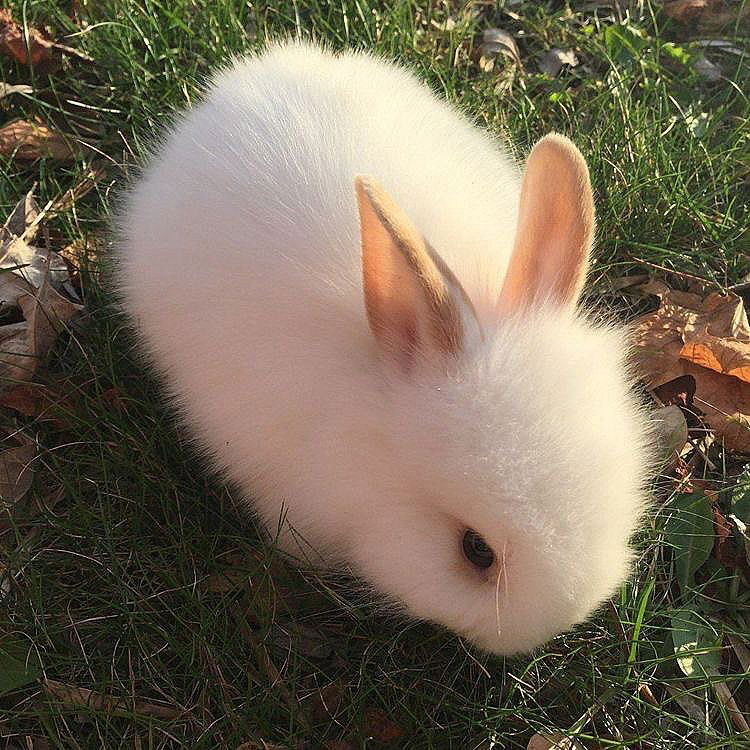 _tero._ instagram image archive image