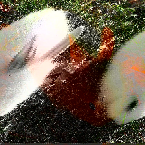 _tero._ image ~ Altpins