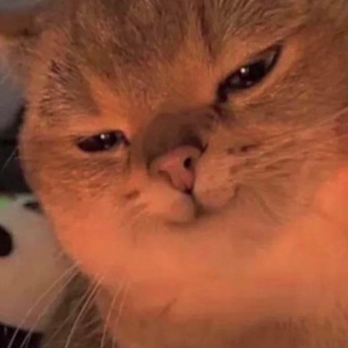 _tero._ instagram image archive image