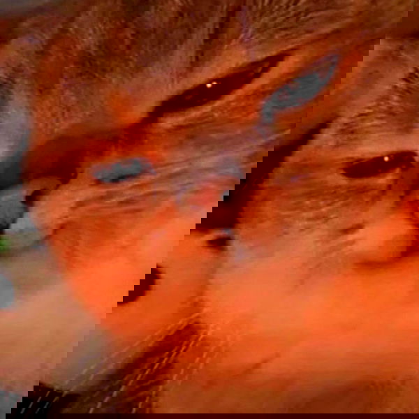 _tero._ image ~ Altpins