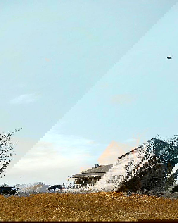 _tero._ image ~ Altpins