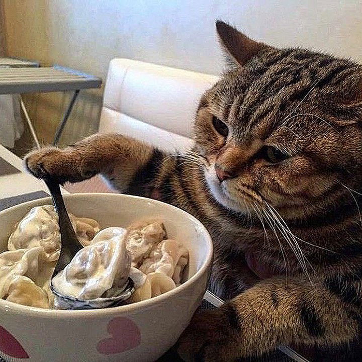 _tero._ instagram image archive image