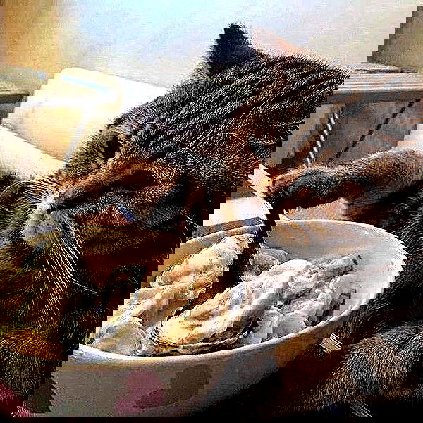 _tero._ image ~ Altpins