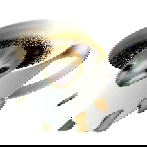 _tero._ image ~ Altpins