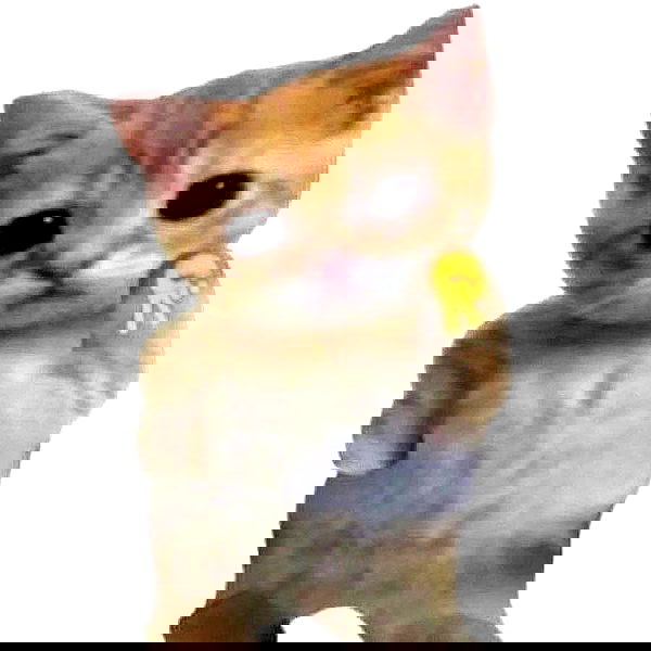 _tero._ image ~ Altpins