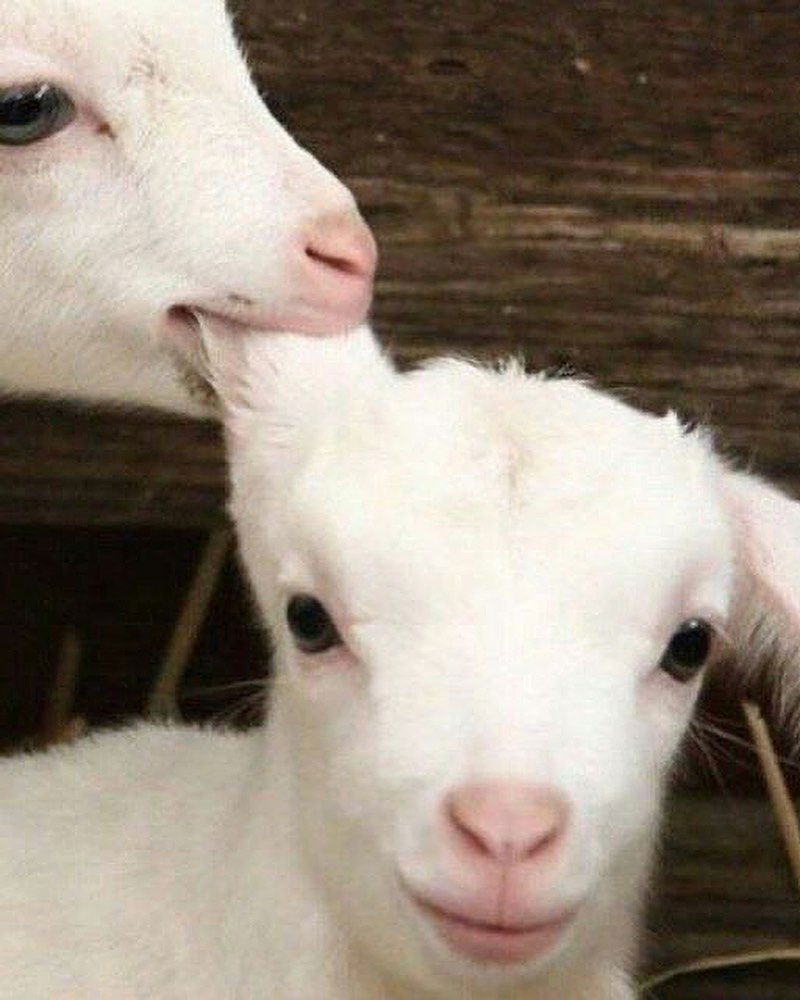 _tero._ instagram image archive image