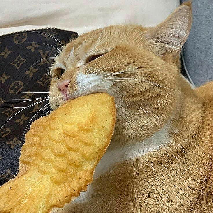 _tero._ instagram image archive image