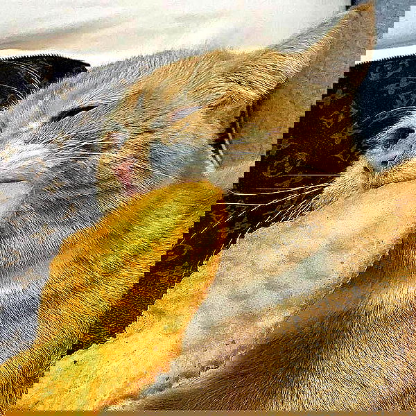 _tero._ image ~ Altpins