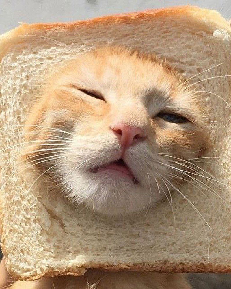 _tero._ instagram image archive image