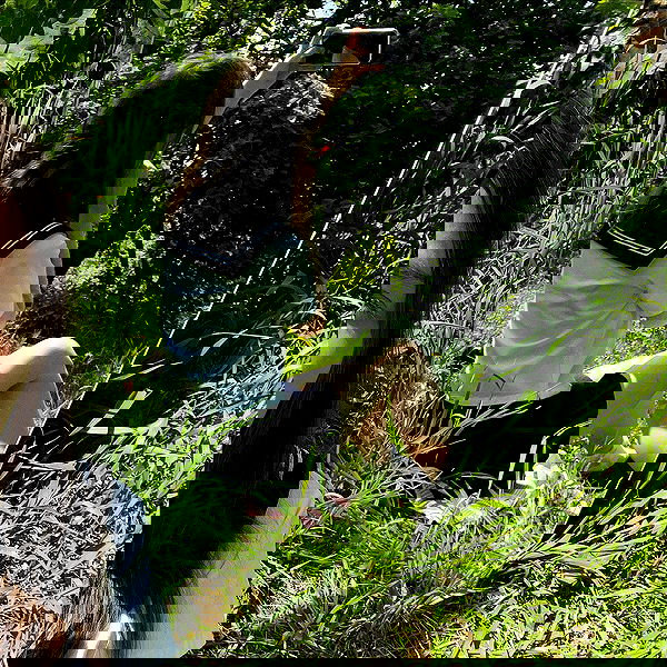 _tero._ image ~ Altpins